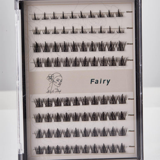 Fairy