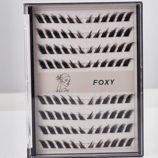 Foxy